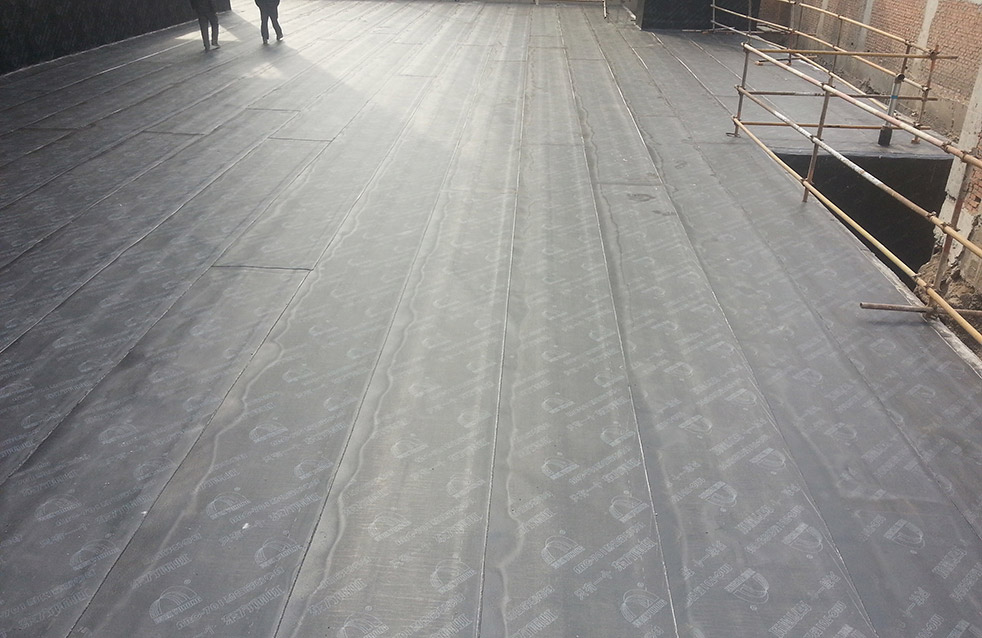 888腾博会官网-诚信为本,专业服务