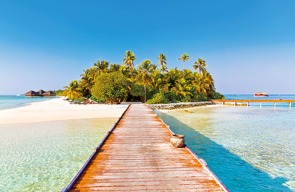 888腾博会官网-诚信为本,专业服务