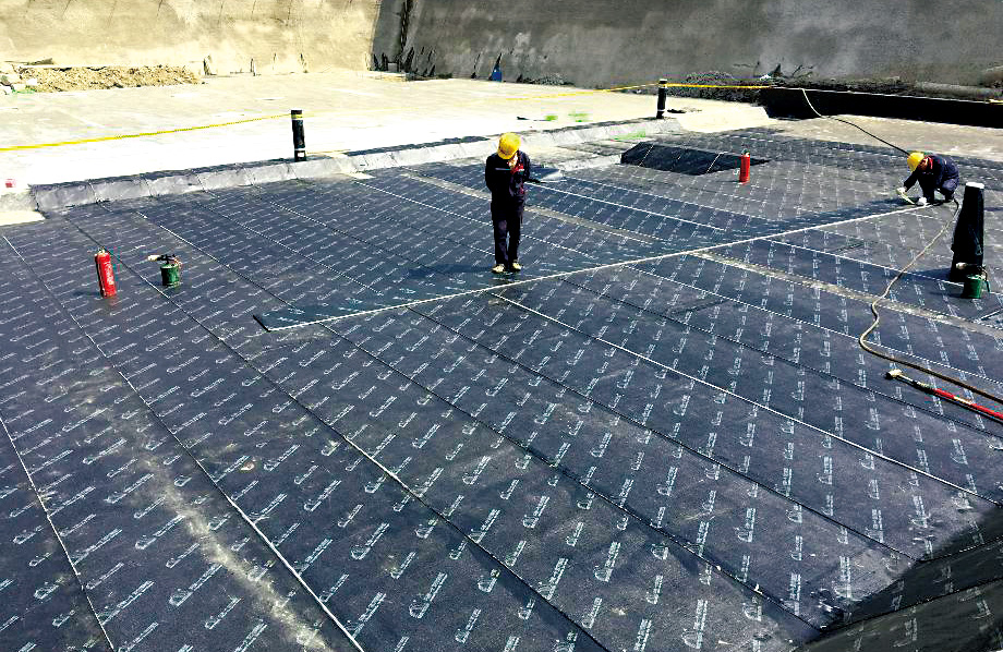 888腾博会官网-诚信为本,专业服务