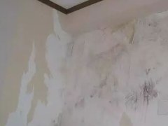 888腾博会官网-诚信为本,专业服务