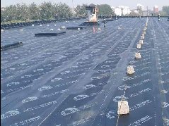 888腾博会官网-诚信为本,专业服务