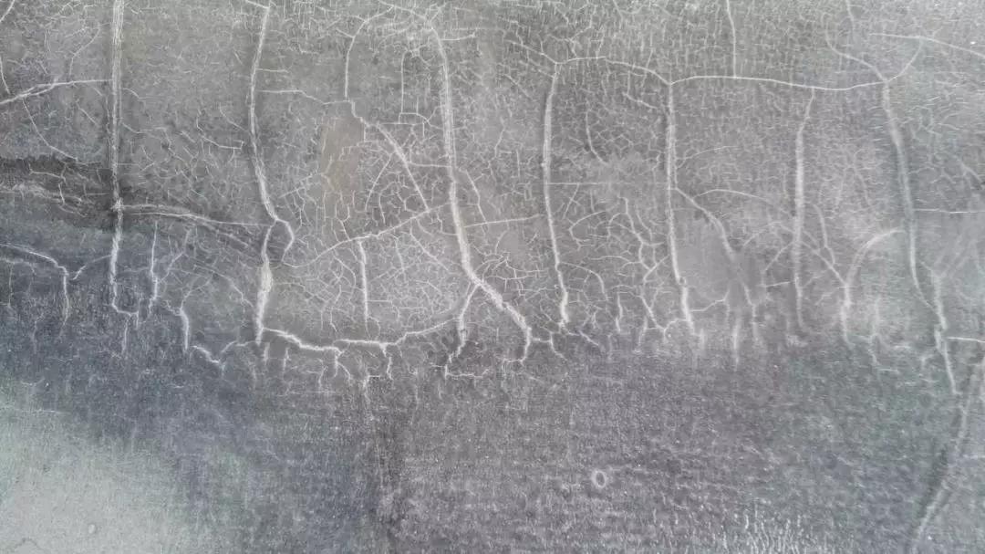 888腾博会官网-诚信为本,专业服务