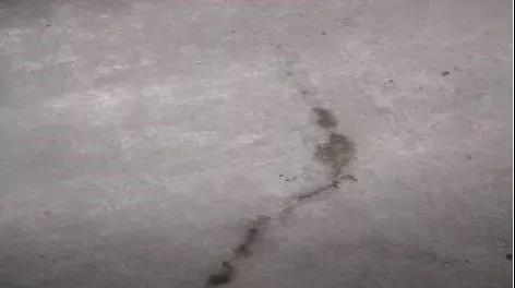 888腾博会官网-诚信为本,专业服务