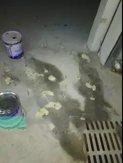 888腾博会官网-诚信为本,专业服务