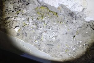 888腾博会官网-诚信为本,专业服务