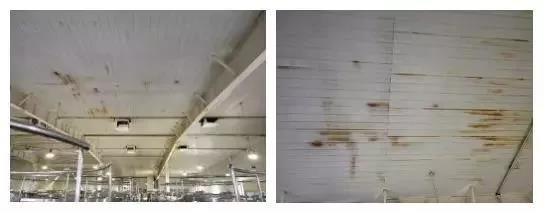 888腾博会官网-诚信为本,专业服务