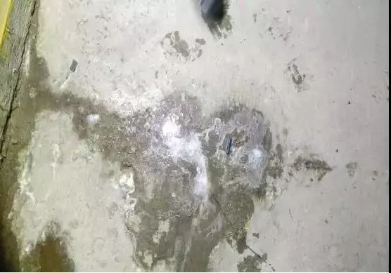 888腾博会官网-诚信为本,专业服务