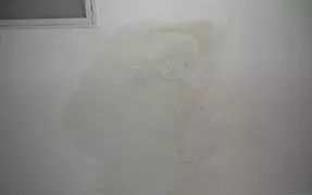 888腾博会官网-诚信为本,专业服务