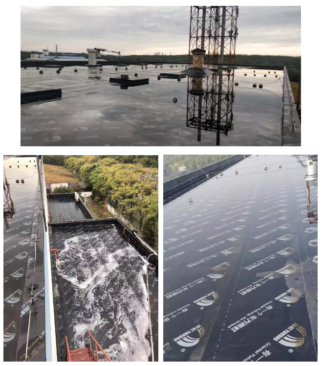 888腾博会官网-诚信为本,专业服务