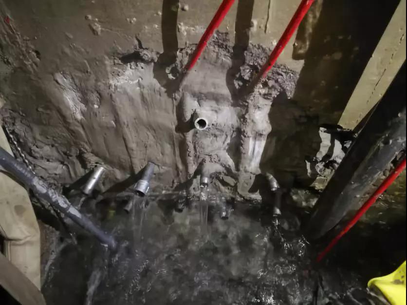 888腾博会官网-诚信为本,专业服务