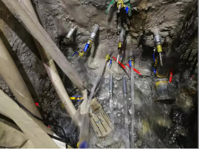 888腾博会官网-诚信为本,专业服务