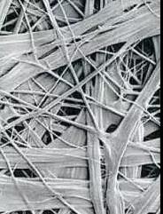 888腾博会官网-诚信为本,专业服务