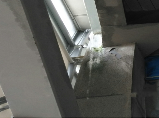 888腾博会官网-诚信为本,专业服务