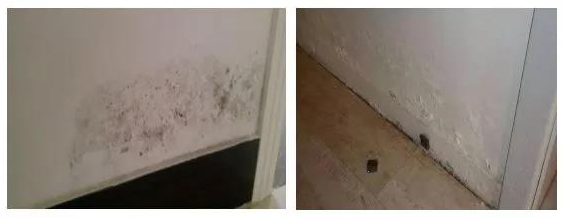 888腾博会官网-诚信为本,专业服务