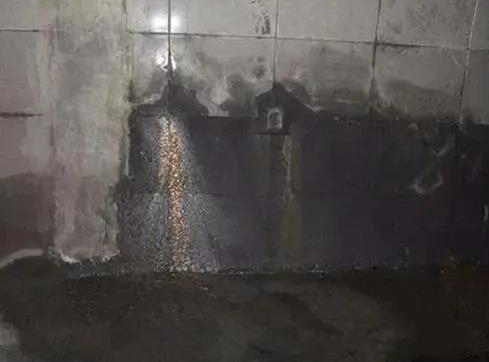 888腾博会官网-诚信为本,专业服务