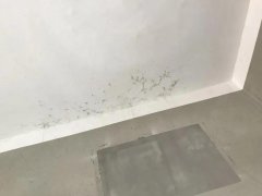 888腾博会官网-诚信为本,专业服务