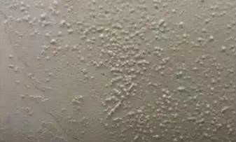 888腾博会官网-诚信为本,专业服务