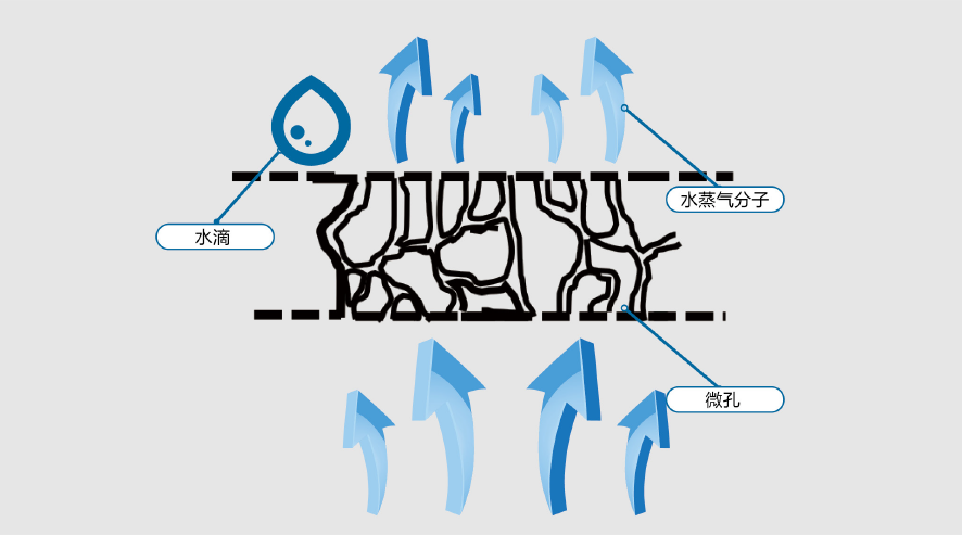 888腾博会官网-诚信为本,专业服务